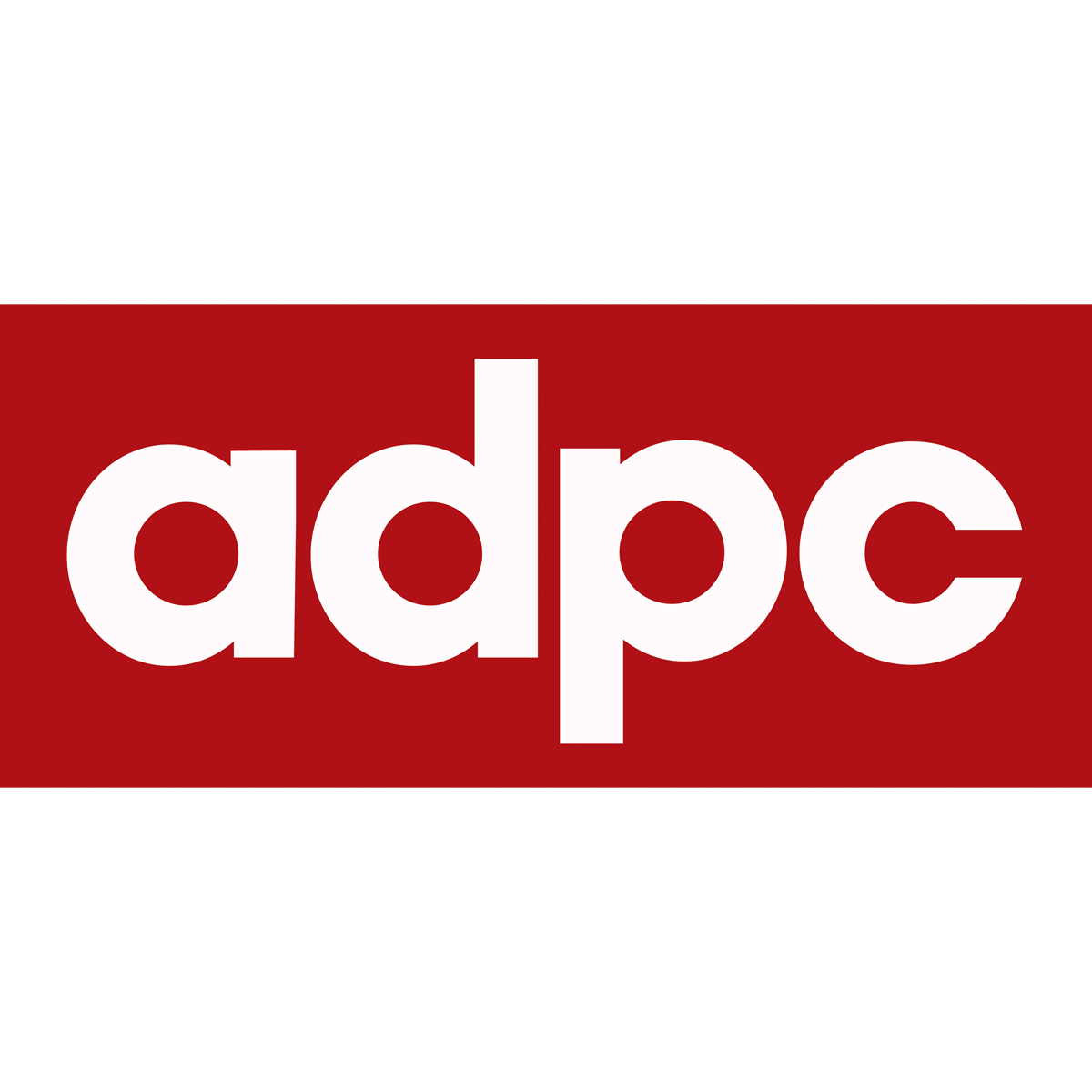 Project Technical Coordinator